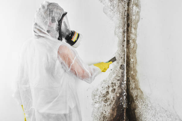 Crawl Space Mold Removal in South Hooksett, NH