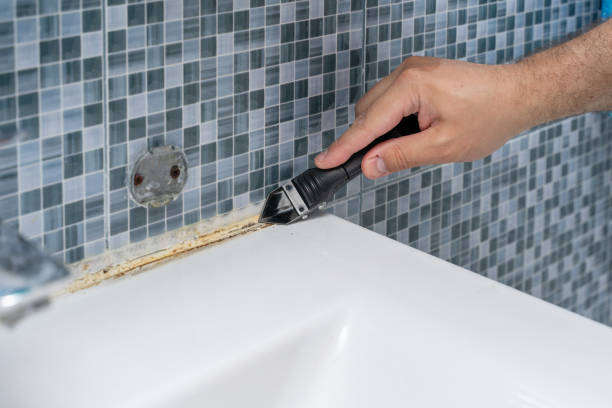 Best Mold Damage Repair  in South Hooksett, NH
