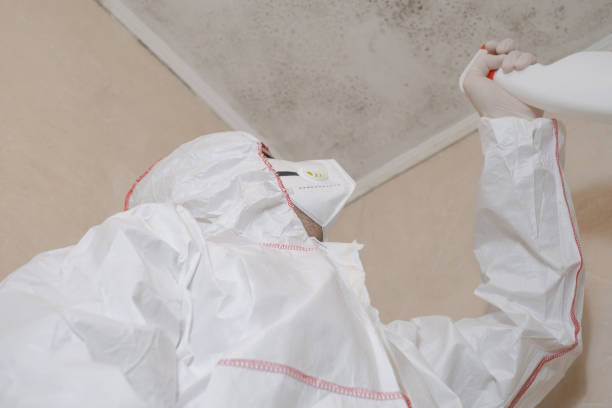 Mold Removal and Inspection in South Hooksett, NH