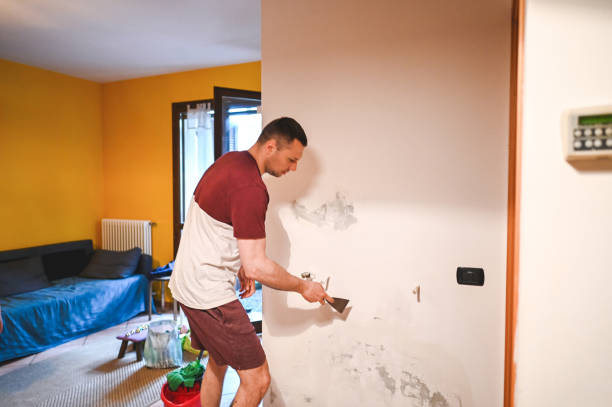 Best Mold Removal Process  in South Hooksett, NH
